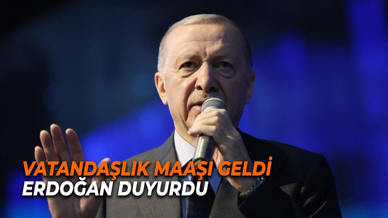 Aile Destek ödemeleri yerine, Vatandaşlık maaşı geliyor